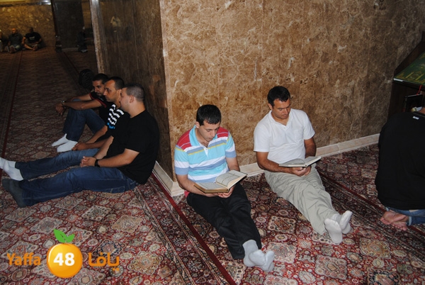 3akila jame3 803 (29).JPG